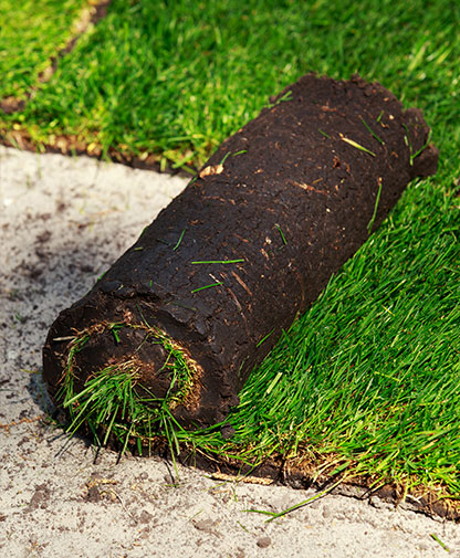 Rulo Çim Uygulaması