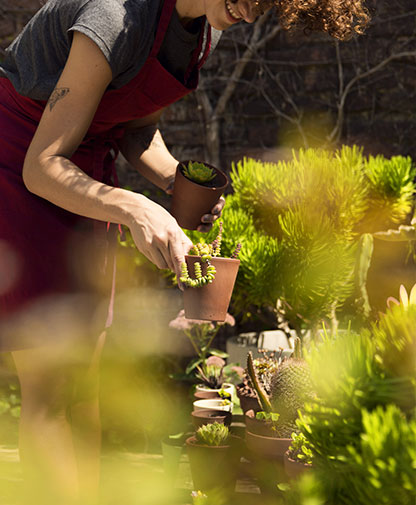 Bitkilendirme Tasarımı