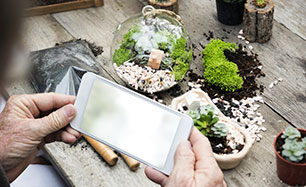 Yapısal ve Bitkisel Uygulamalar