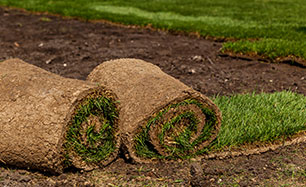 Rulo Çim Uygulaması